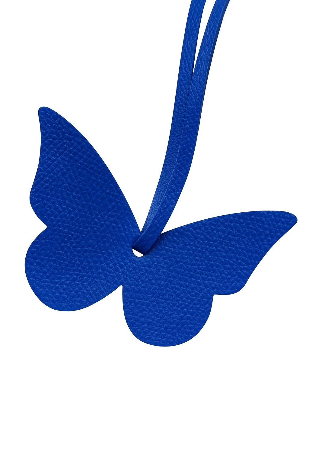 butterfly love charm blue